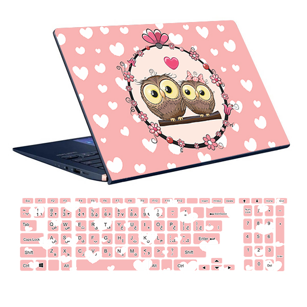 Laptop skin owl design code 01 with keyboard sticker