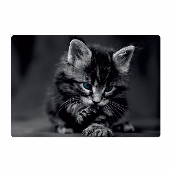 Cat design laptop skin code 09