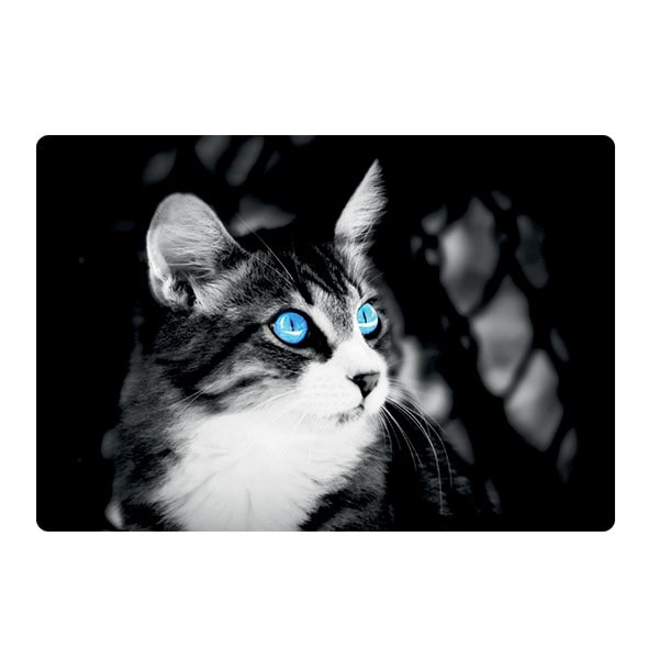 Cat design laptop skin code 10