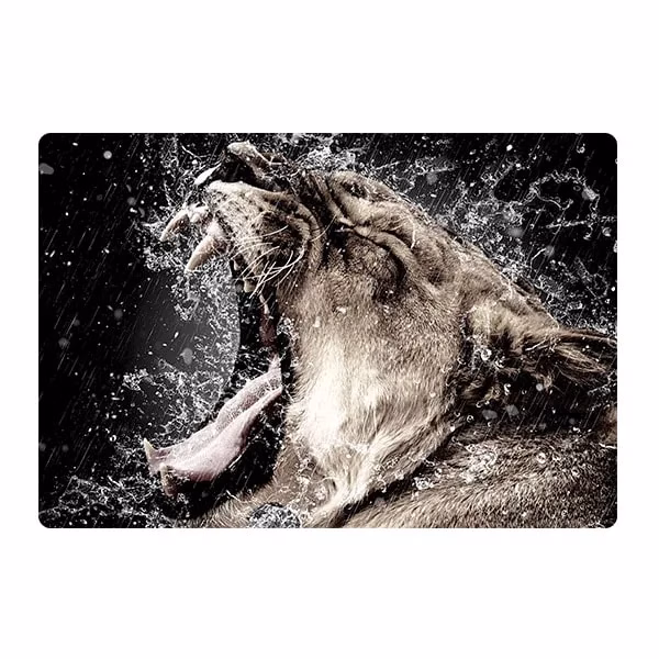 Lion Design Laptop Skin Code 11