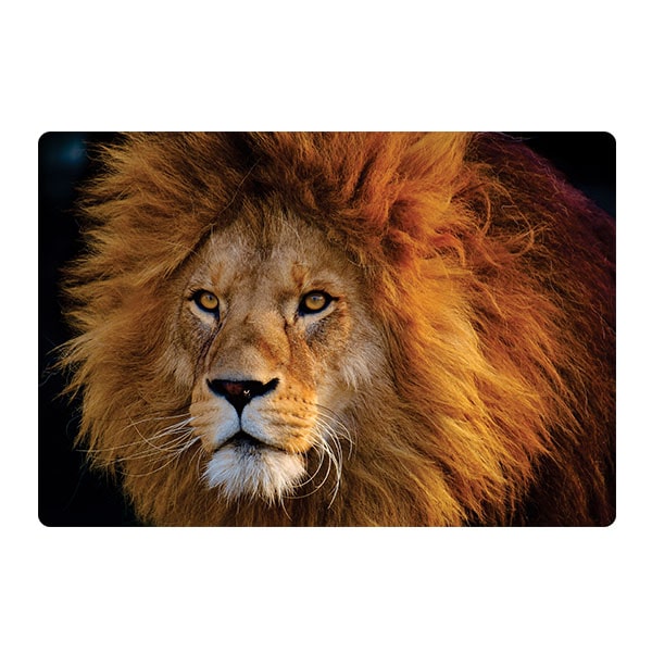 Lion design laptop skin code 12