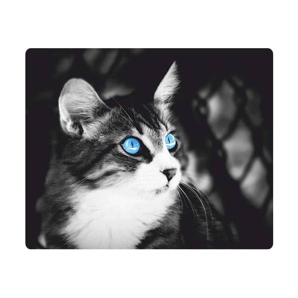 Cat mouse pad code 10