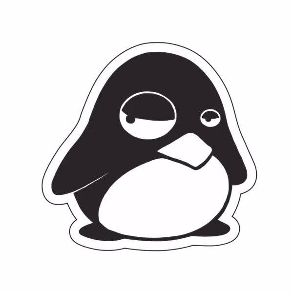 برنامه-نویسی-design-laptop-b10-with-sticker-tmjeenir-min.jpg