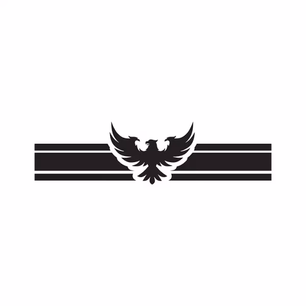 برچسب بدنه خودرو طرح eagle کد 01 1